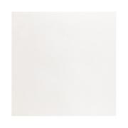 Regency White Polished Porcelain Tile - 24 x 24 - 100823293 | Floor and