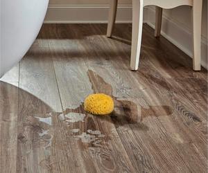 Floor Decor Mount Zion